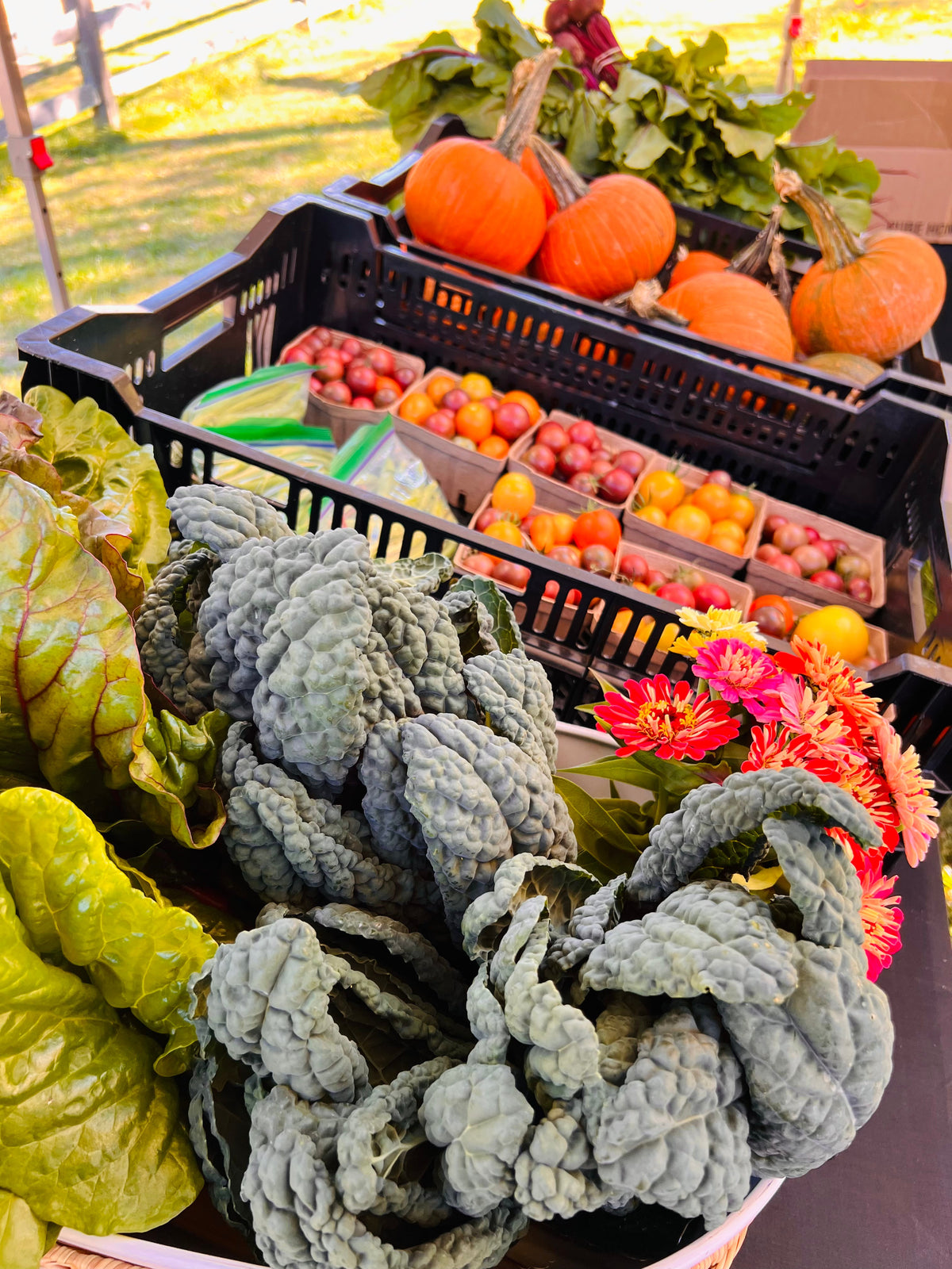 THE FARMERS MARKET AT FALLEN OAK FARMS